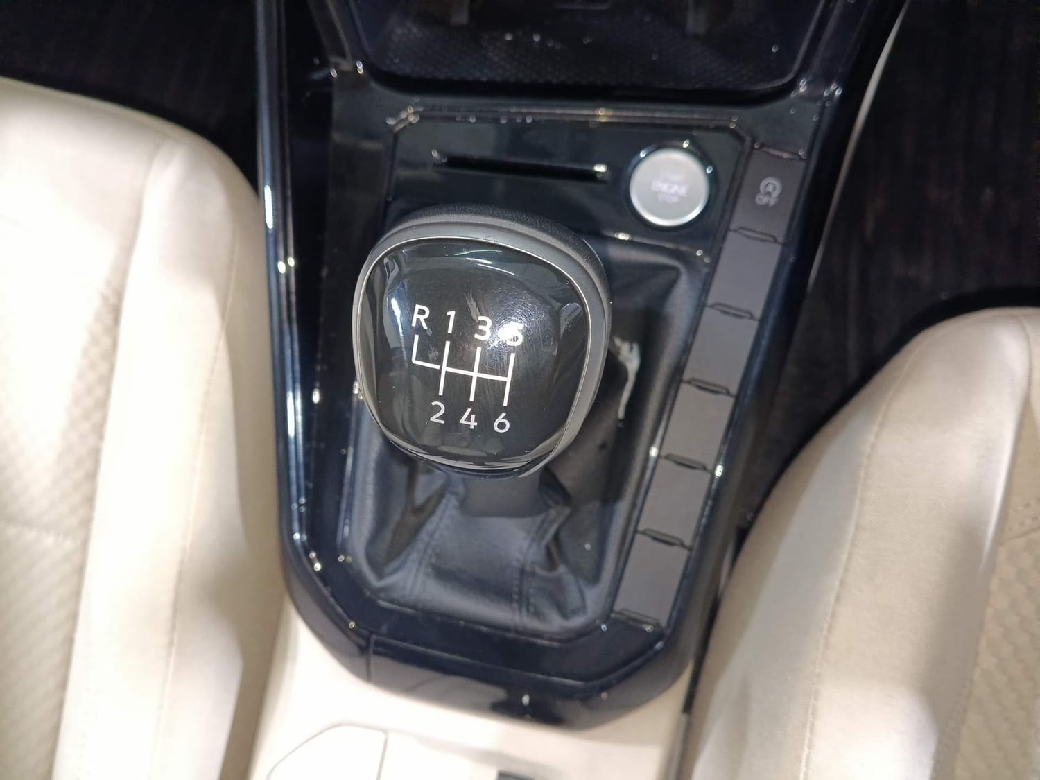 Virtus image 16 Virtus image 16