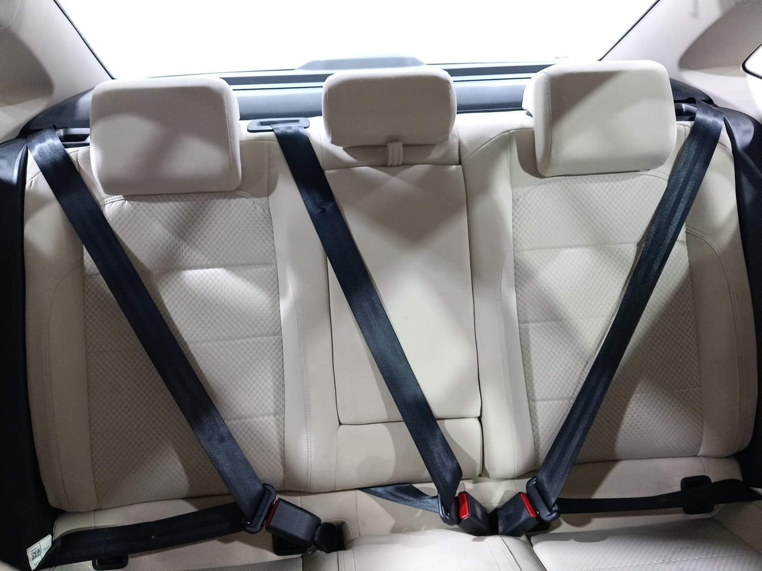 Virtus image 23 Virtus image 23