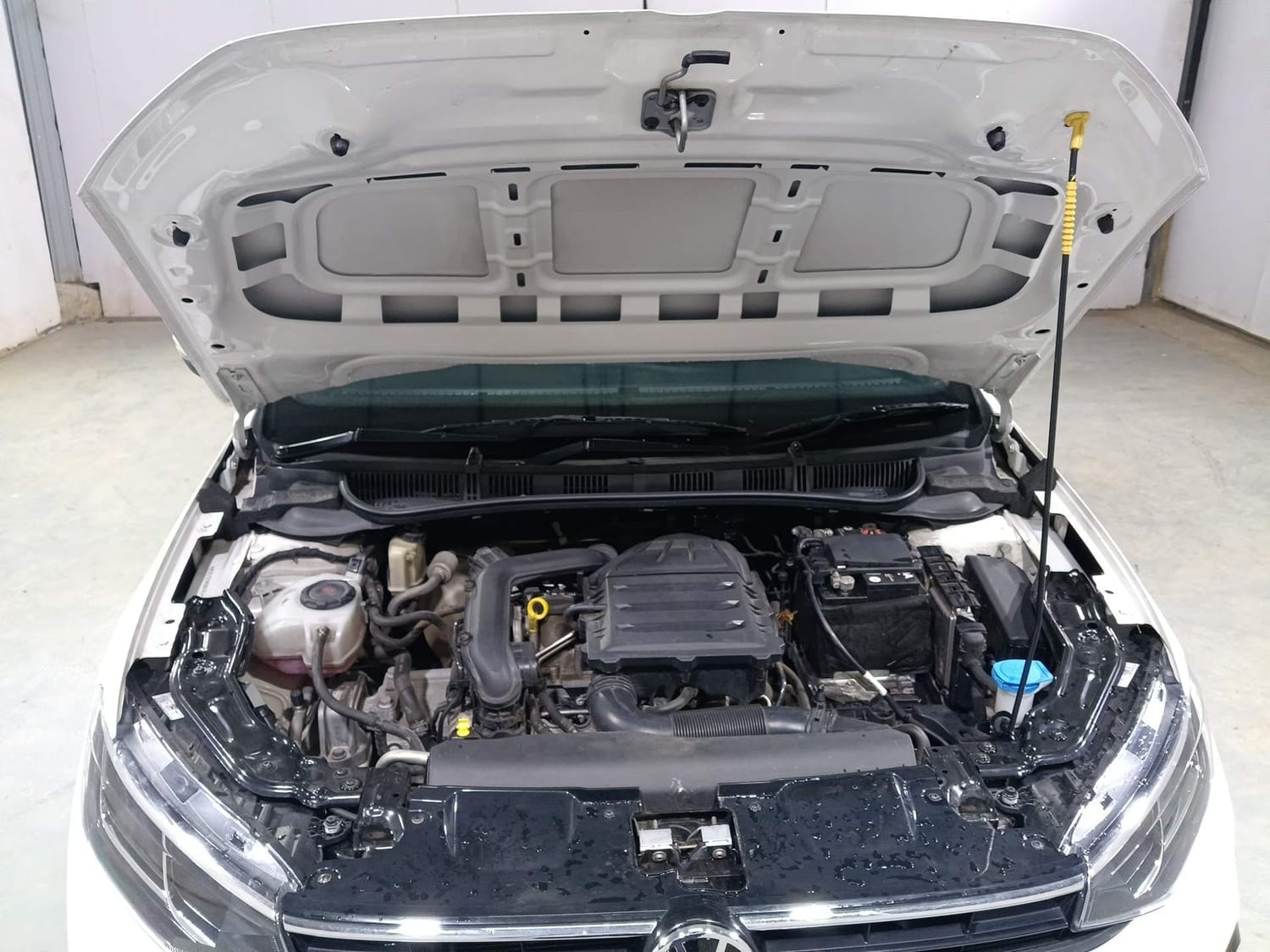 Virtus image 27 Virtus image 27