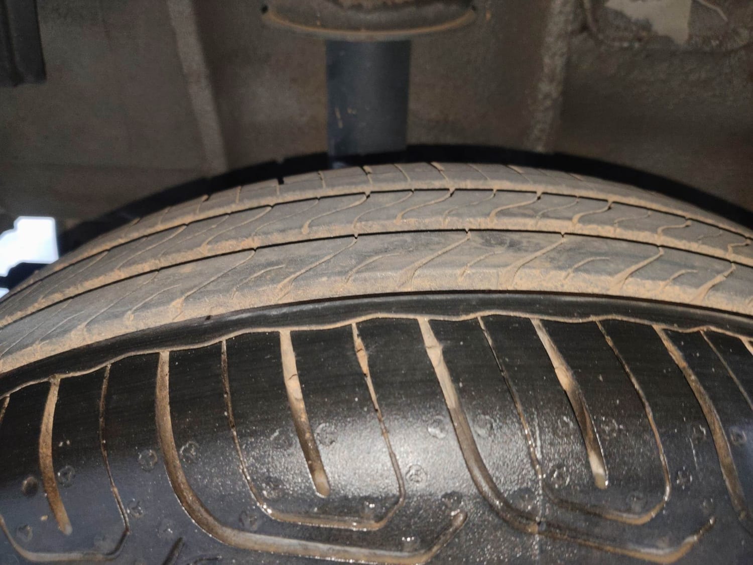 Tiago image 37 Tiago image 37