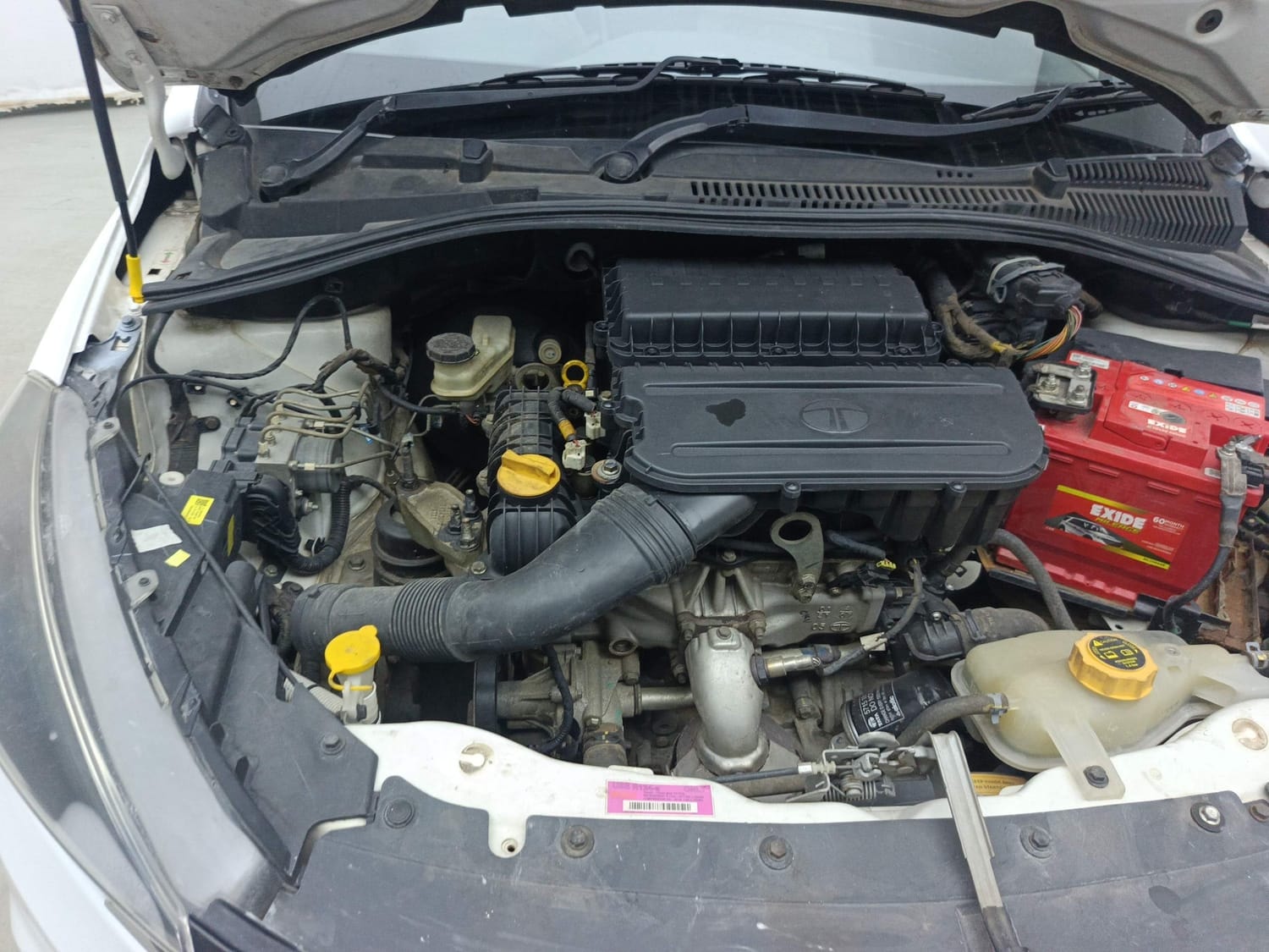 Tiago image 29 Tiago image 29