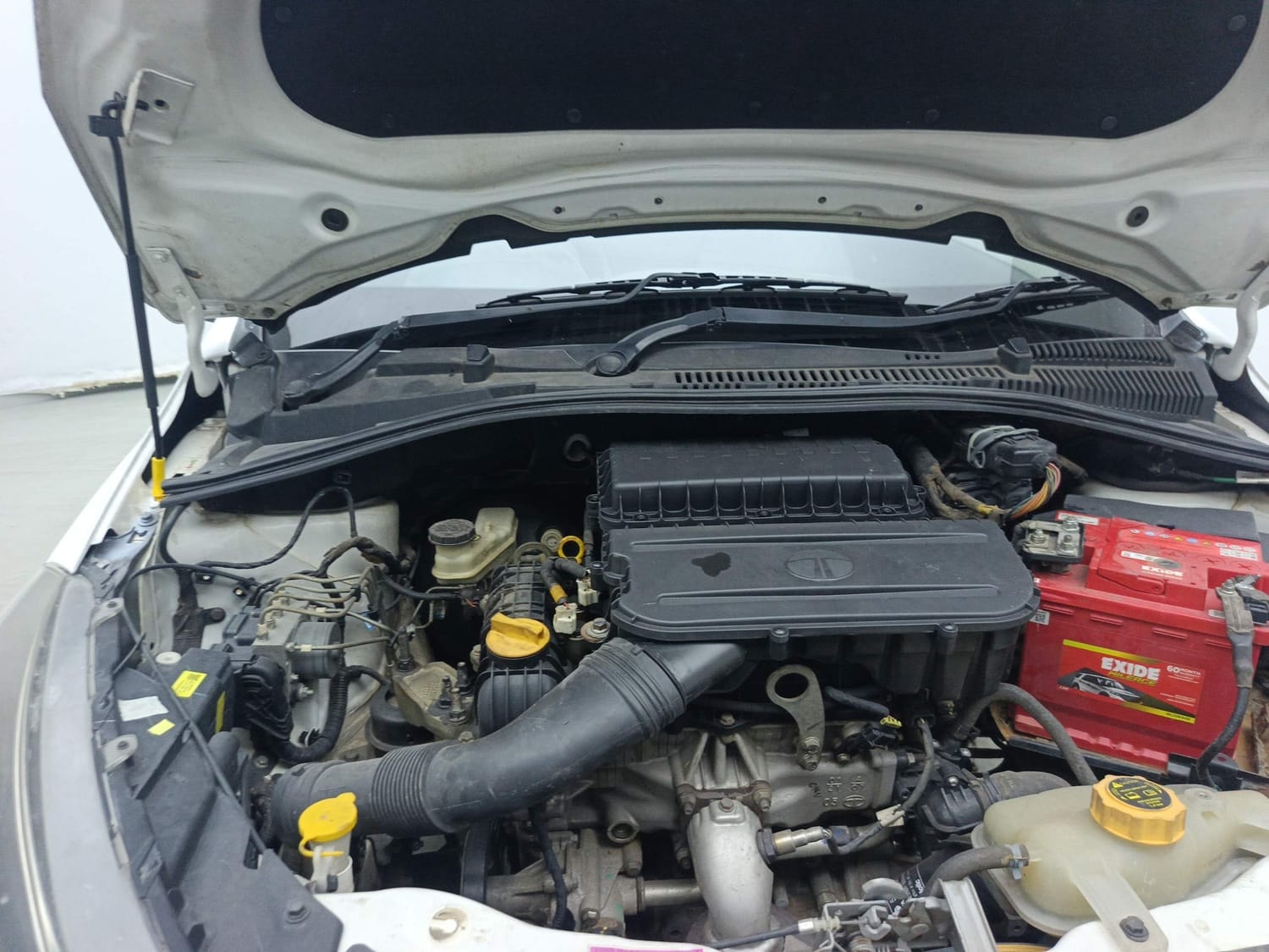 Tiago image 31 Tiago image 31