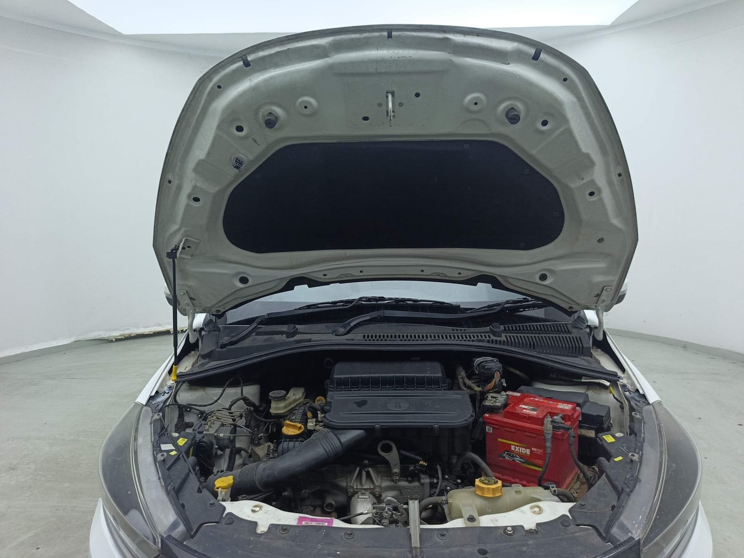 Tiago image 27 Tiago image 27