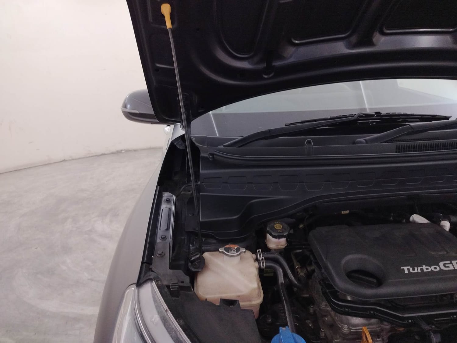 Sonet image 31 Sonet image 31