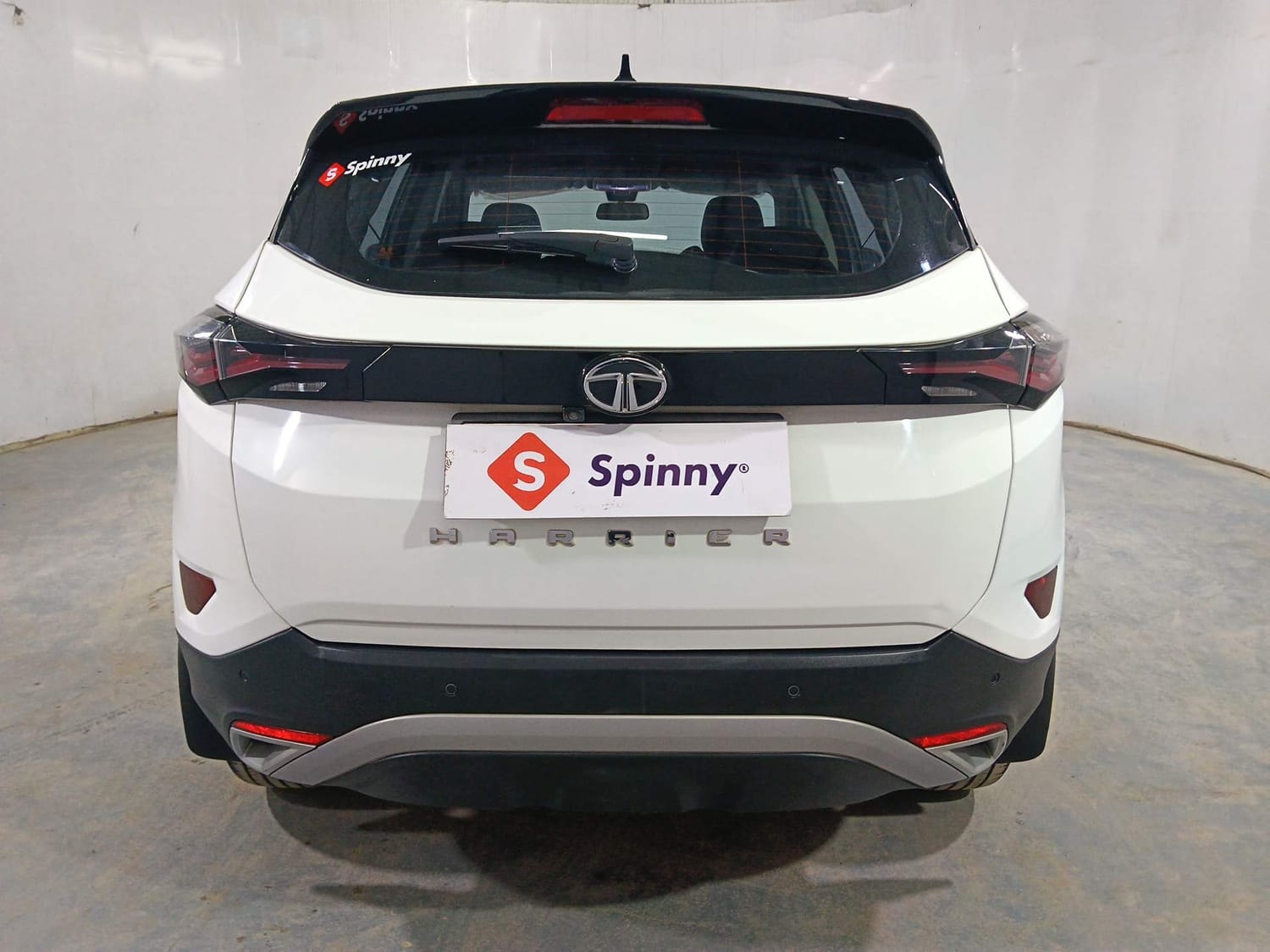 Harrier image 4 Harrier image 4