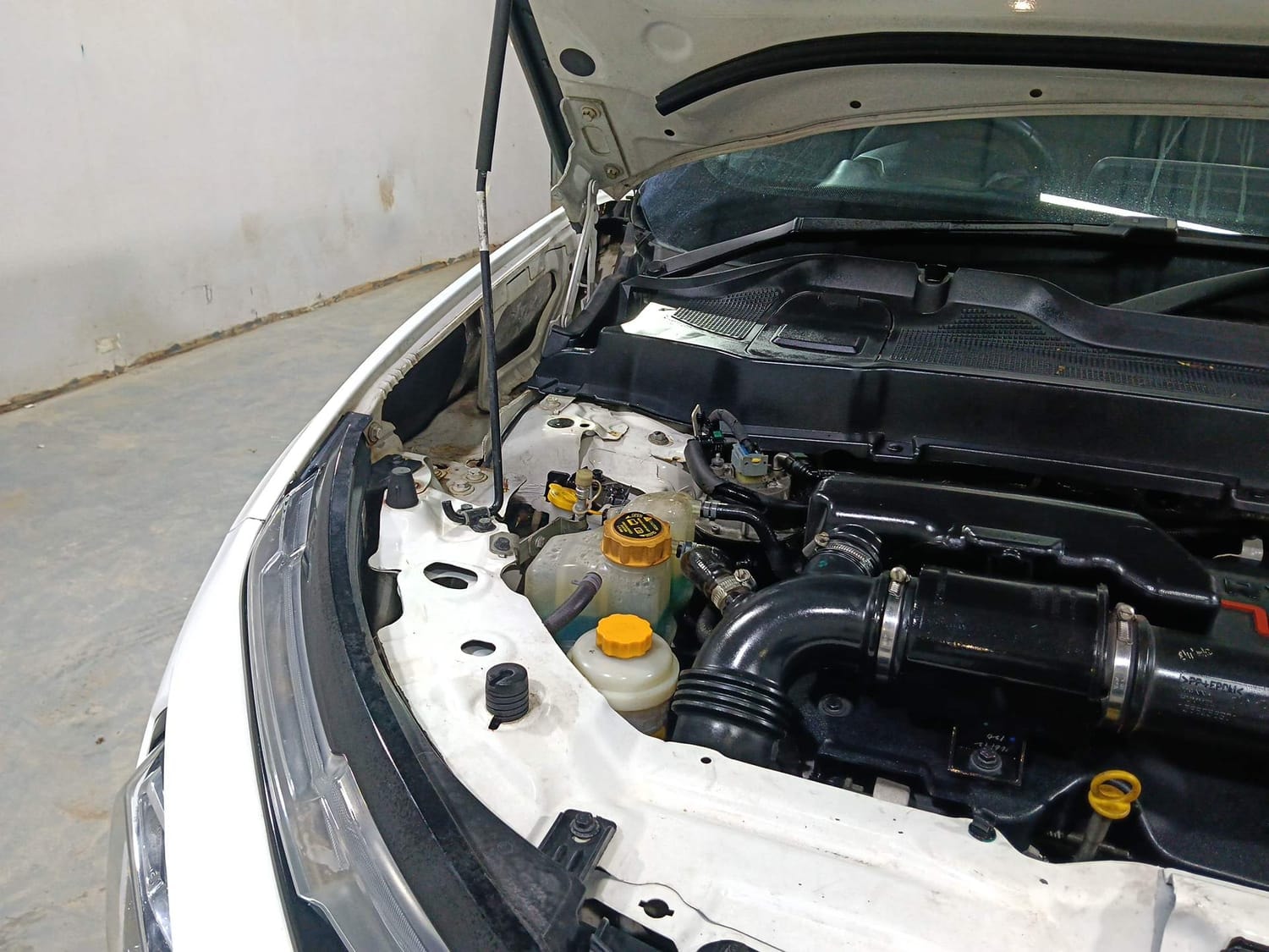 Harrier image 31 Harrier image 31