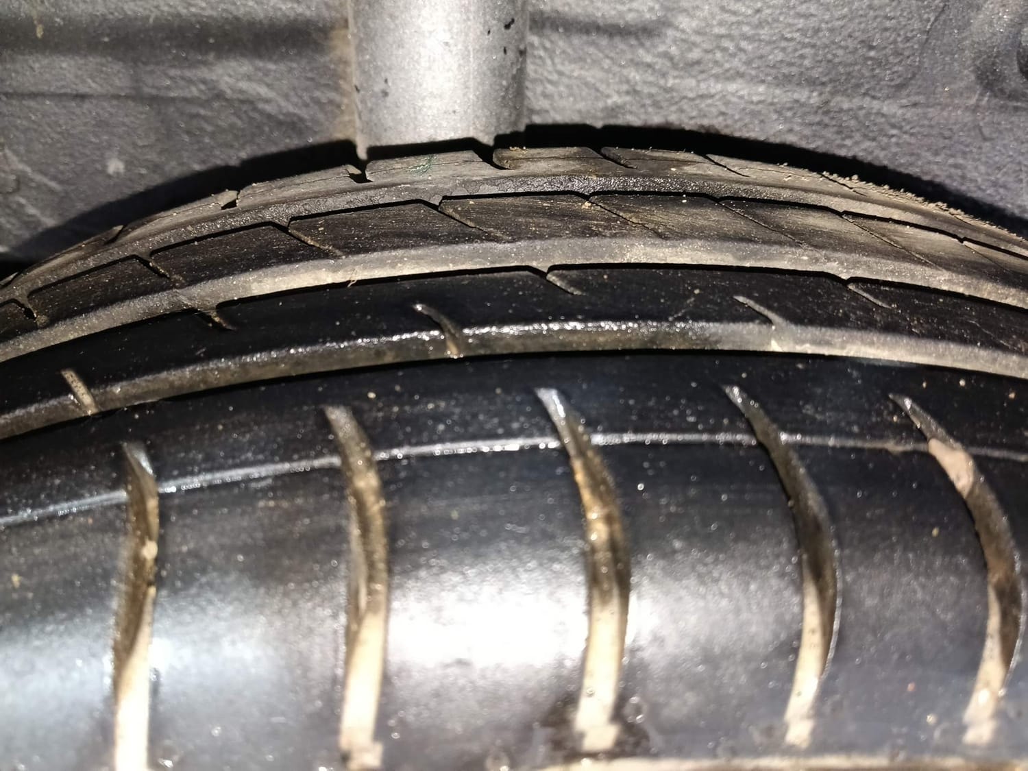 Celerio image 37 Celerio image 37