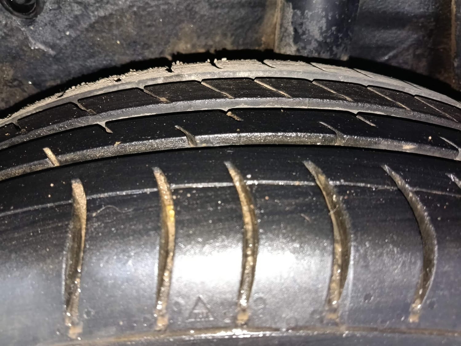 Celerio image 39 Celerio image 39