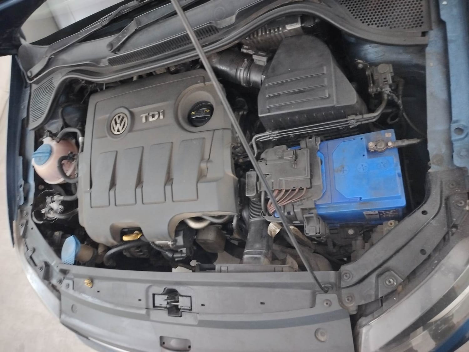 Ameo image 28 Ameo image 28