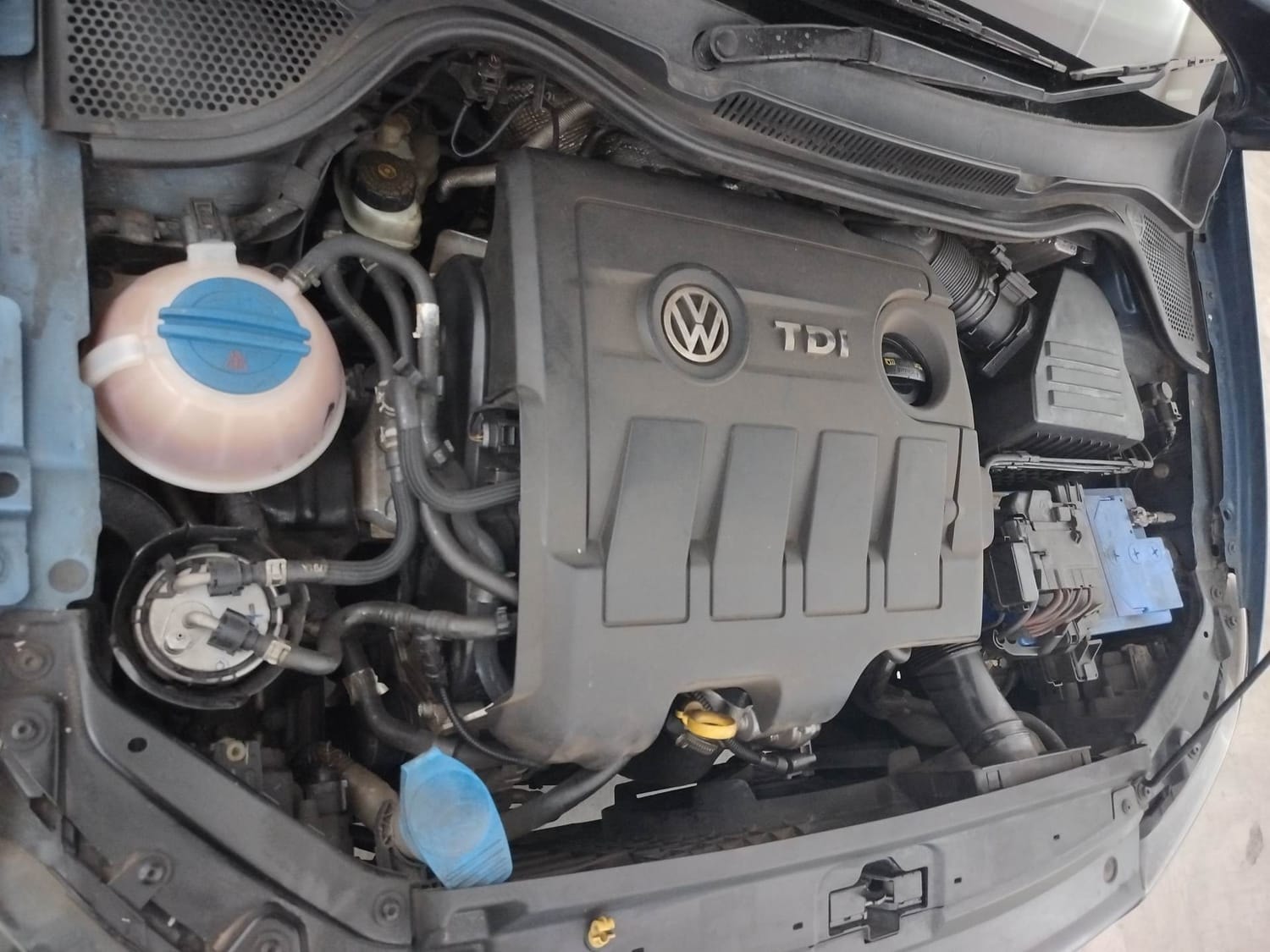 Ameo image 29 Ameo image 29