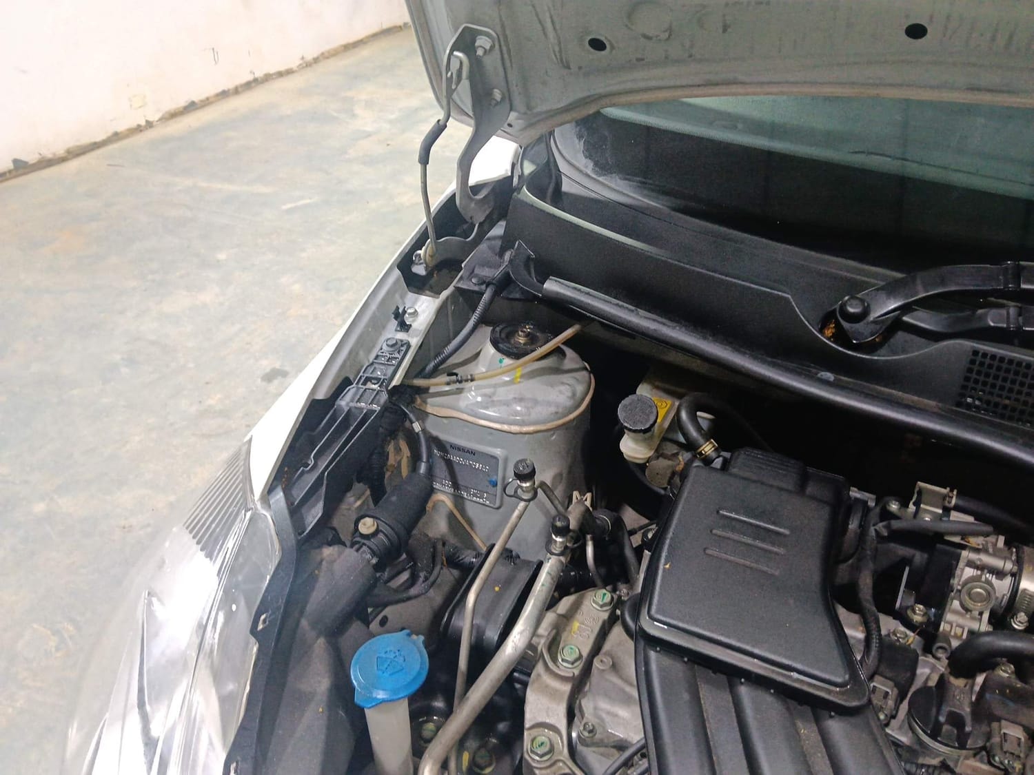 Go image 31 Go image 31