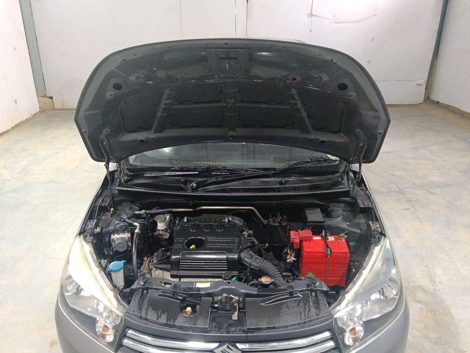 Celerio image 27 Celerio image 27