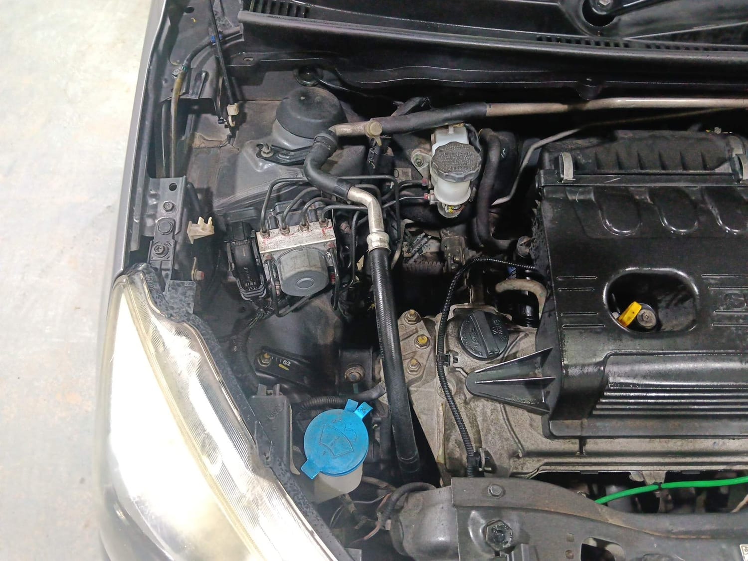 Celerio image 29 Celerio image 29