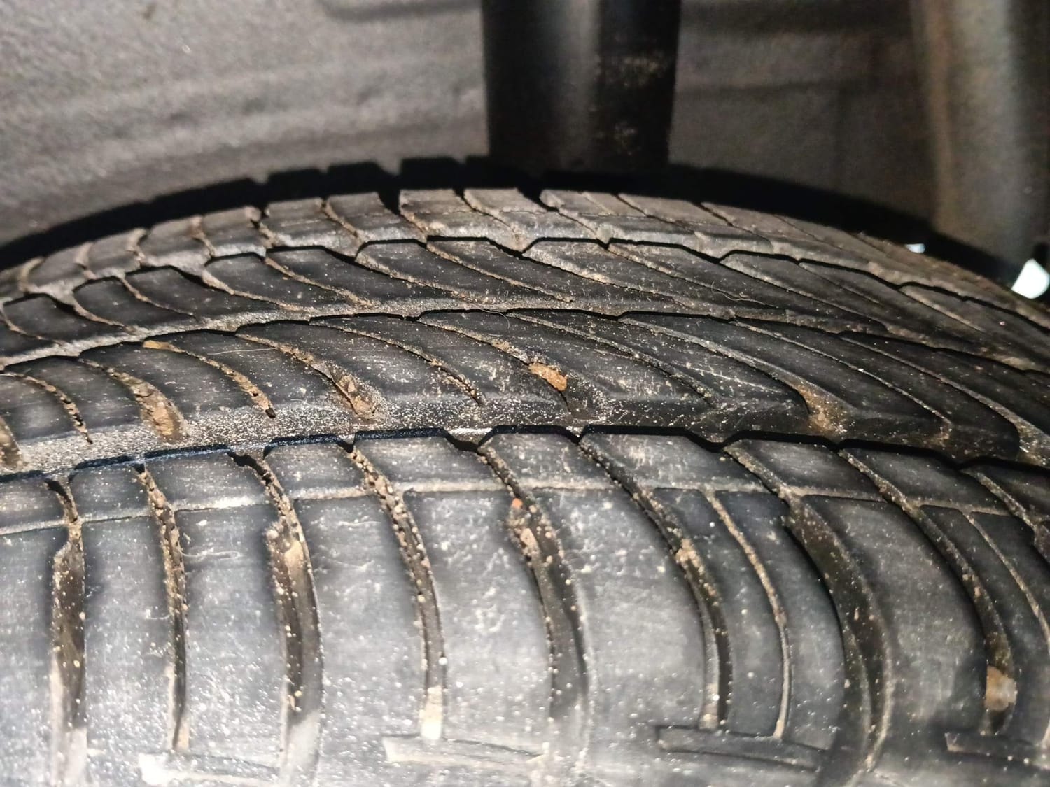 Celerio image 39 Celerio image 39