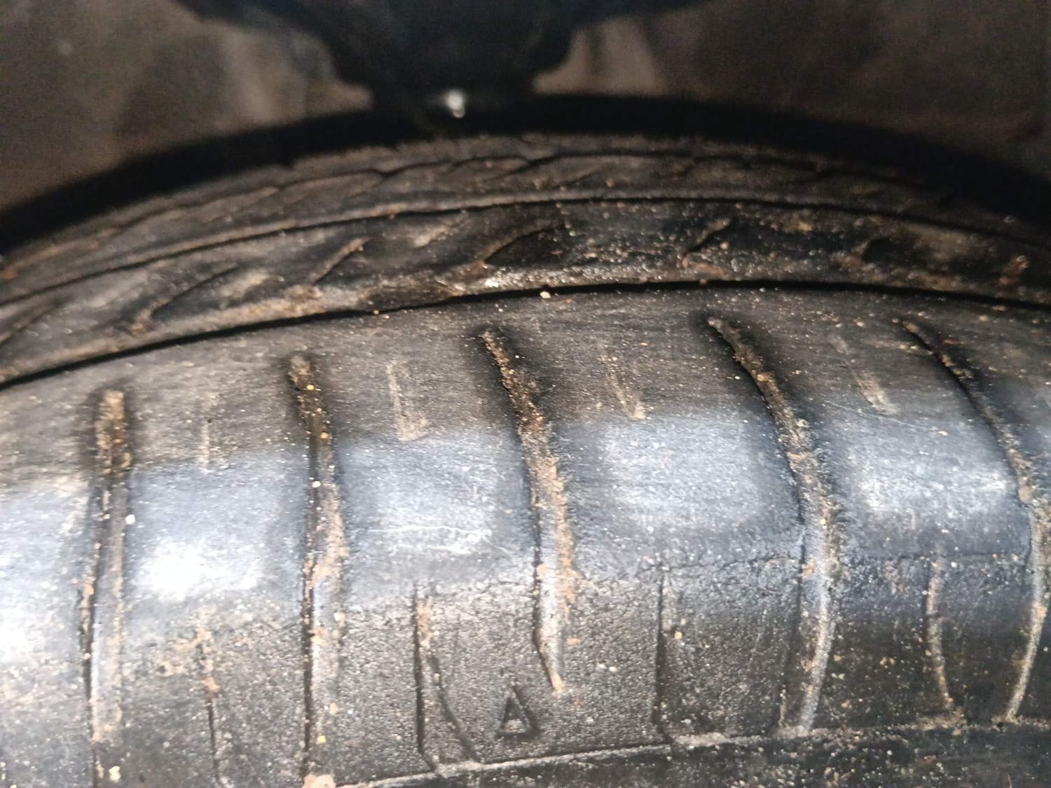 Celerio image 36 Celerio image 36