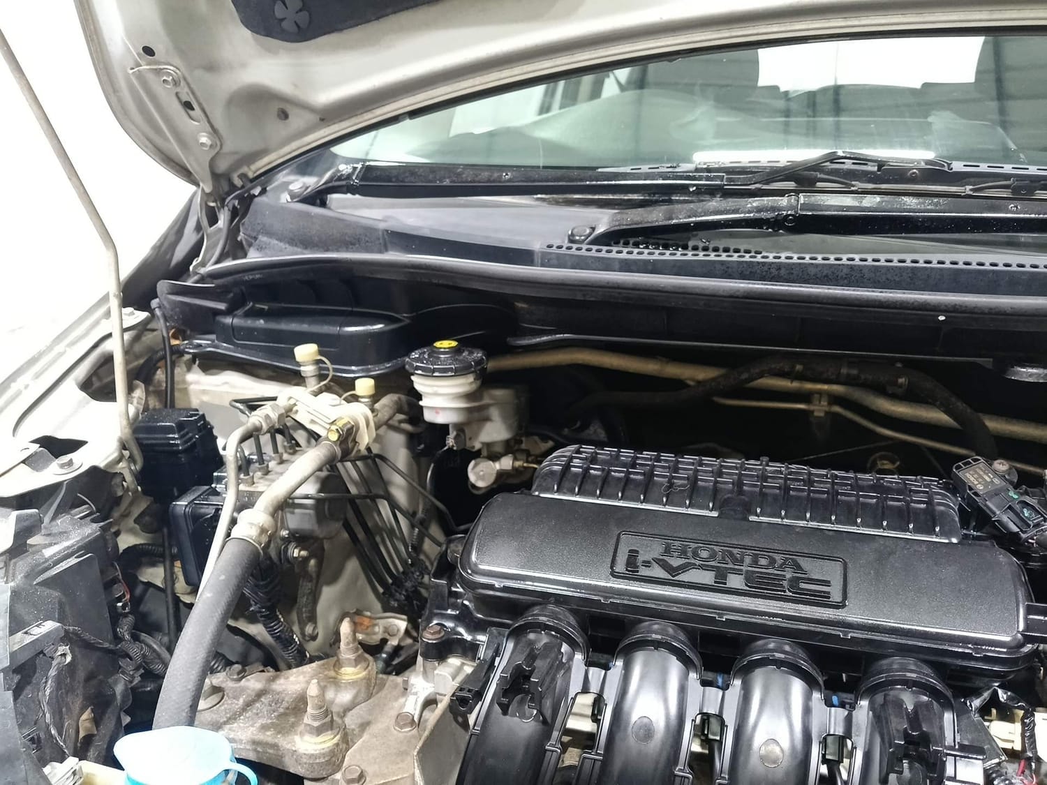 Jazz image 31 Jazz image 31