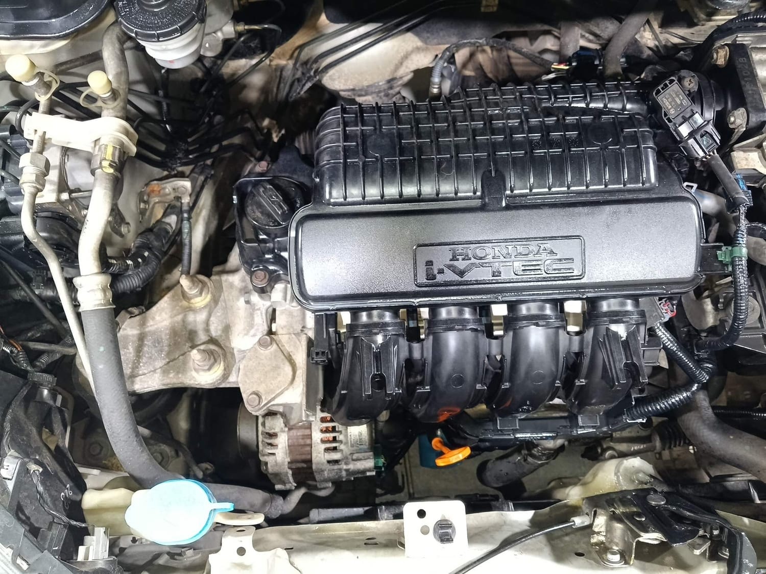 Jazz image 29 Jazz image 29