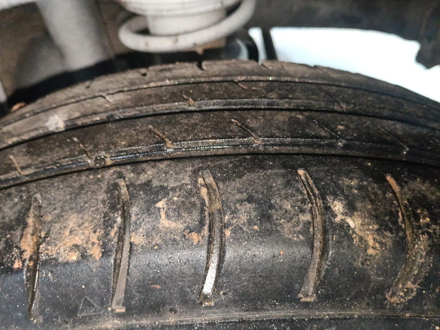 Alto 800 image 39 Alto 800 image 39