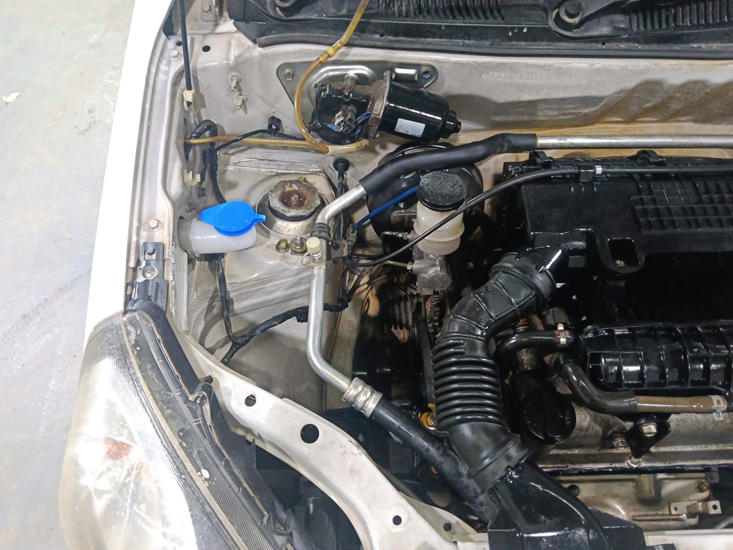 Alto 800 image 29 Alto 800 image 29