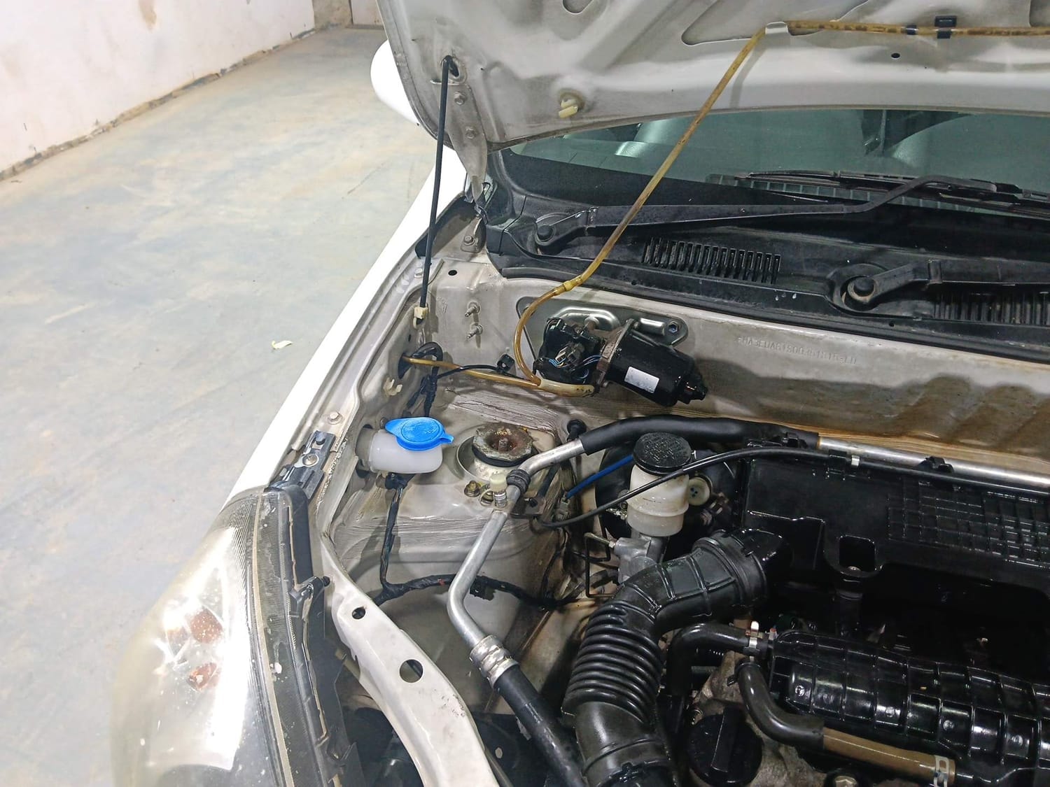 Alto 800 image 31 Alto 800 image 31