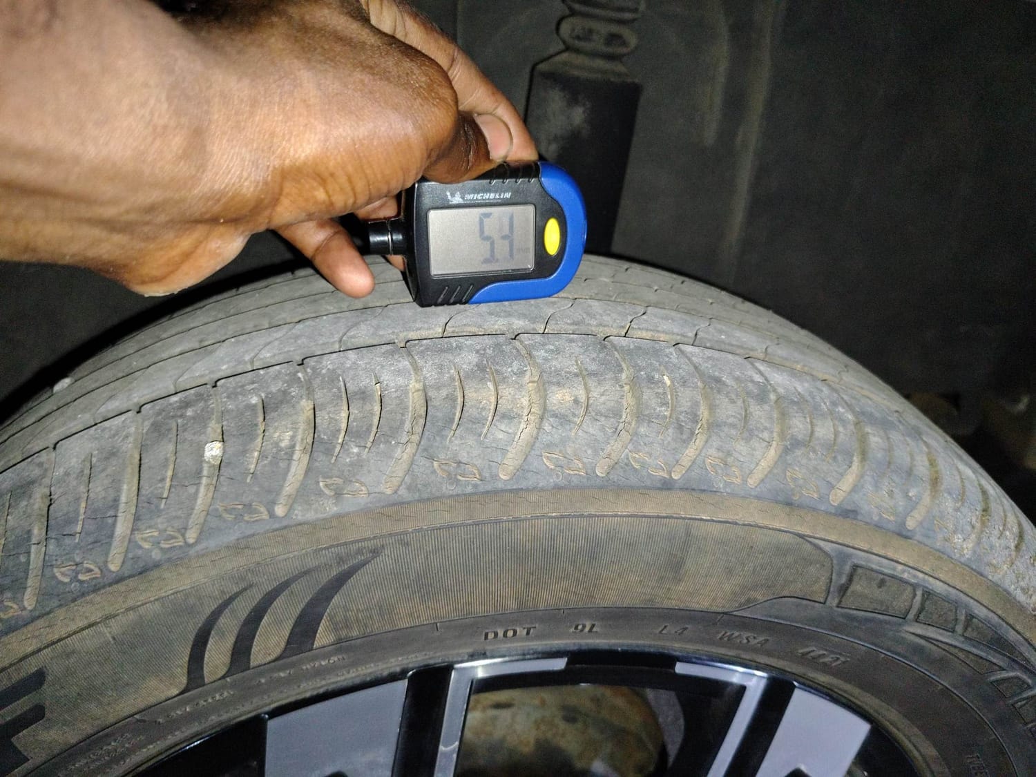 Kiger image 39 Kiger image 39