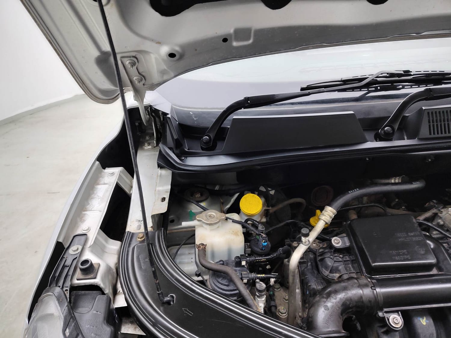 Kiger image 31 Kiger image 31