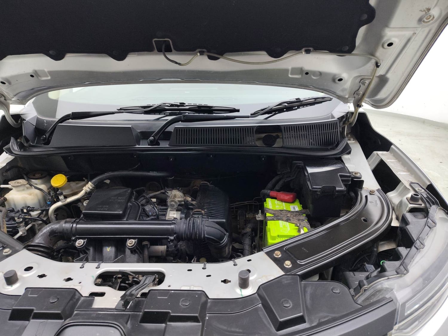 Kiger image 28 Kiger image 28