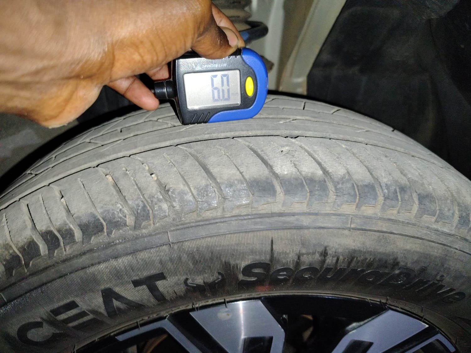 Kiger image 36 Kiger image 36