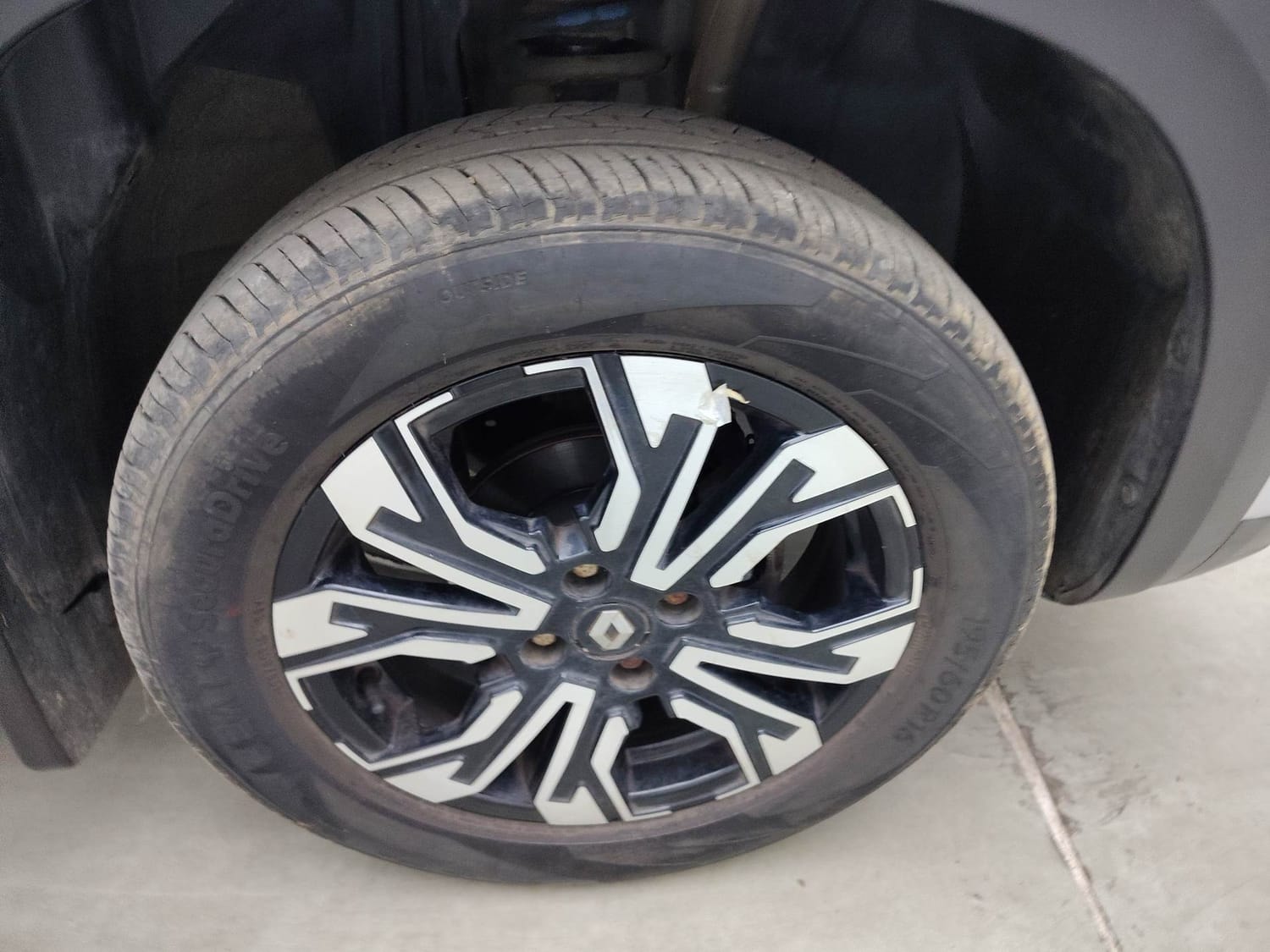 Kiger image 32 Kiger image 32