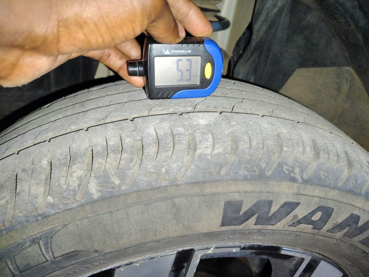 Kiger image 38 Kiger image 38