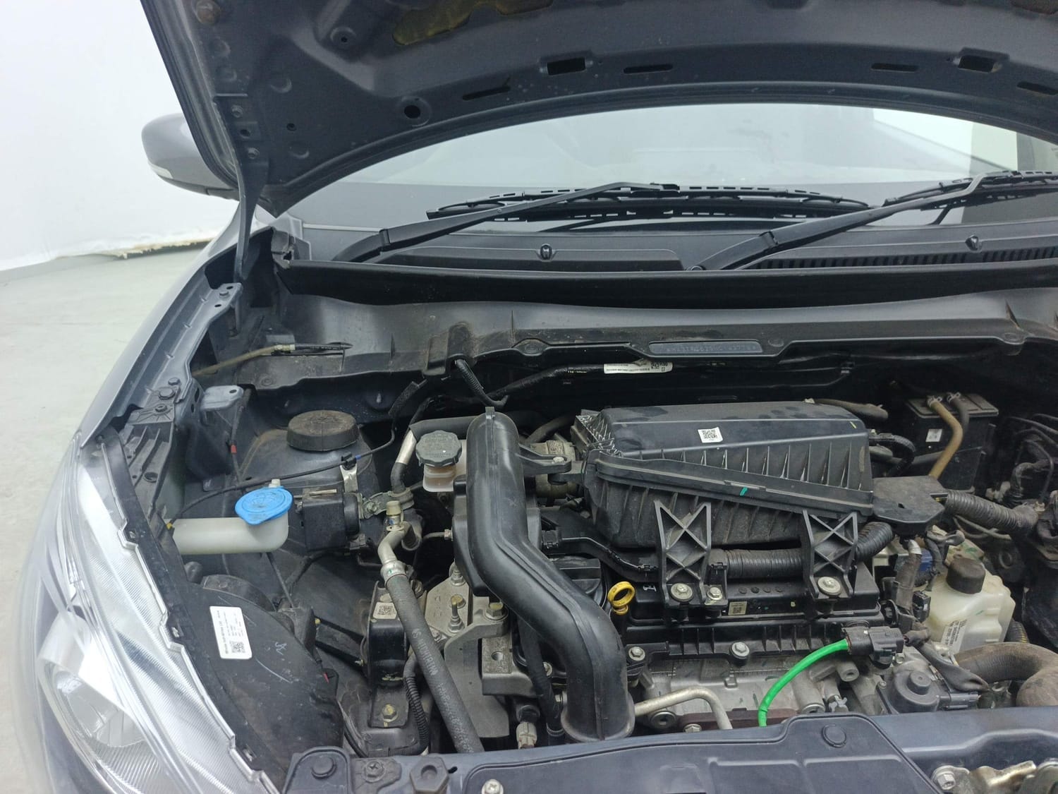 Celerio image 31 Celerio image 31