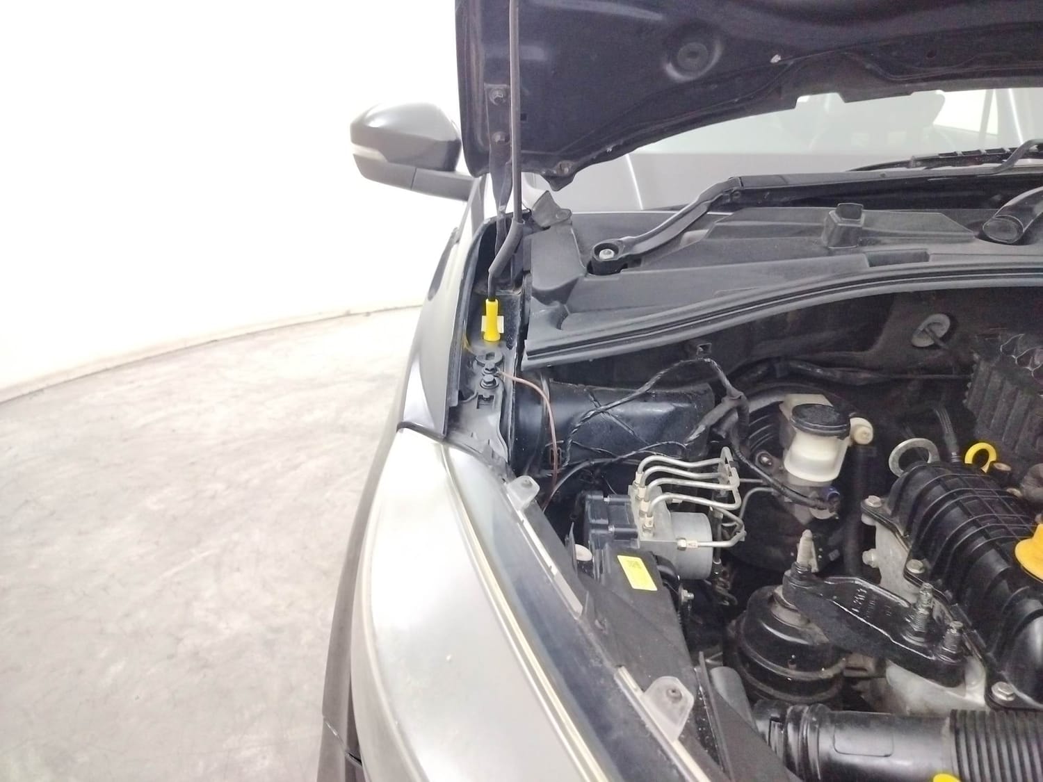 Tiago image 31 Tiago image 31