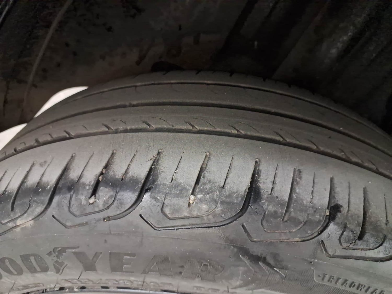 Altroz image 37 Altroz image 37