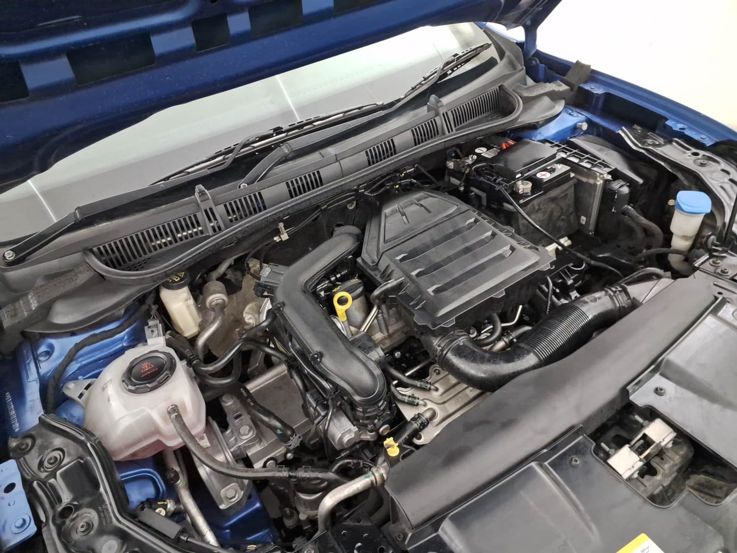 Virtus image 29 Virtus image 29