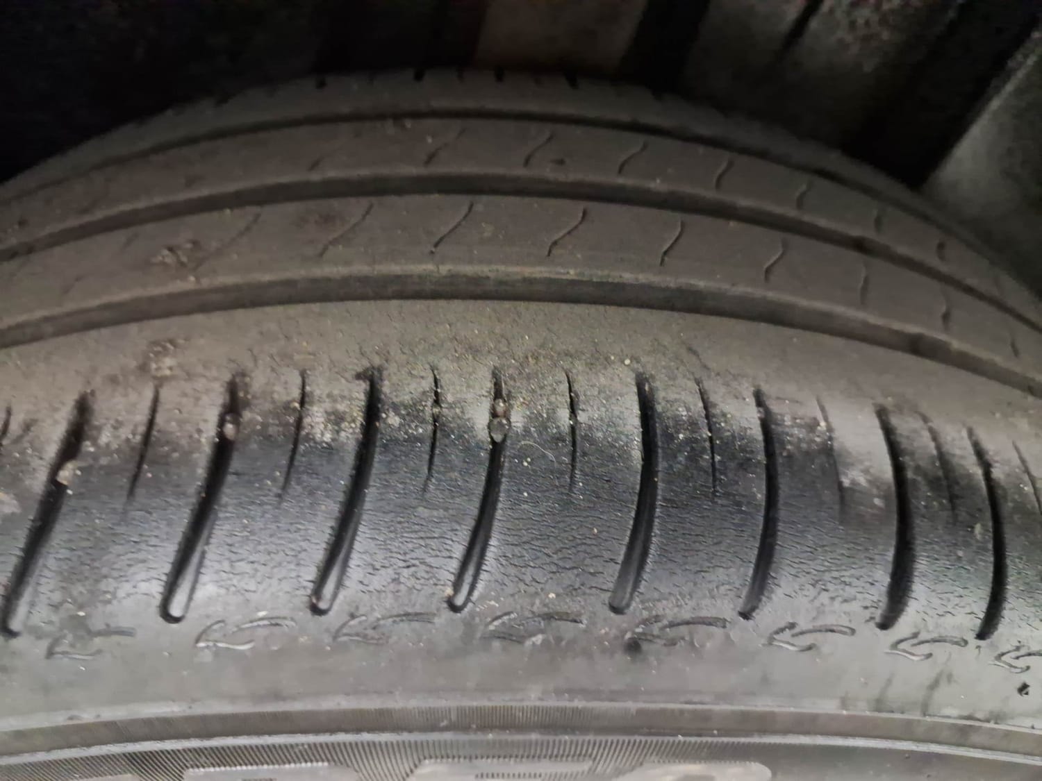 Virtus image 37 Virtus image 37