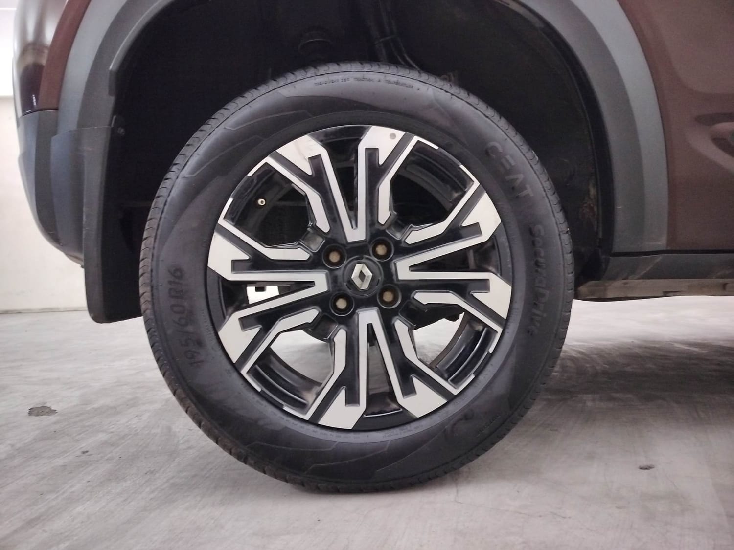 Kiger image 33 Kiger image 33