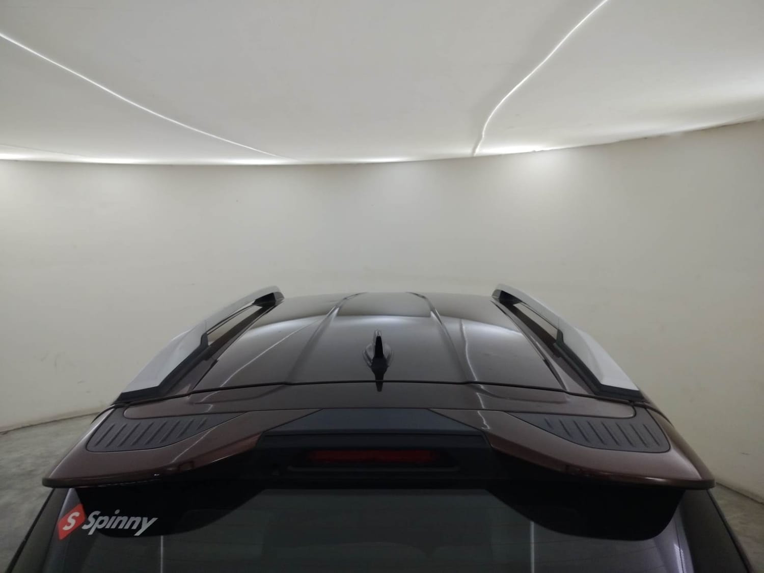 Kiger image 11 Kiger image 11