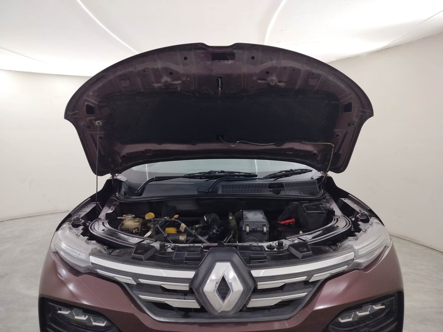 Kiger image 27 Kiger image 27