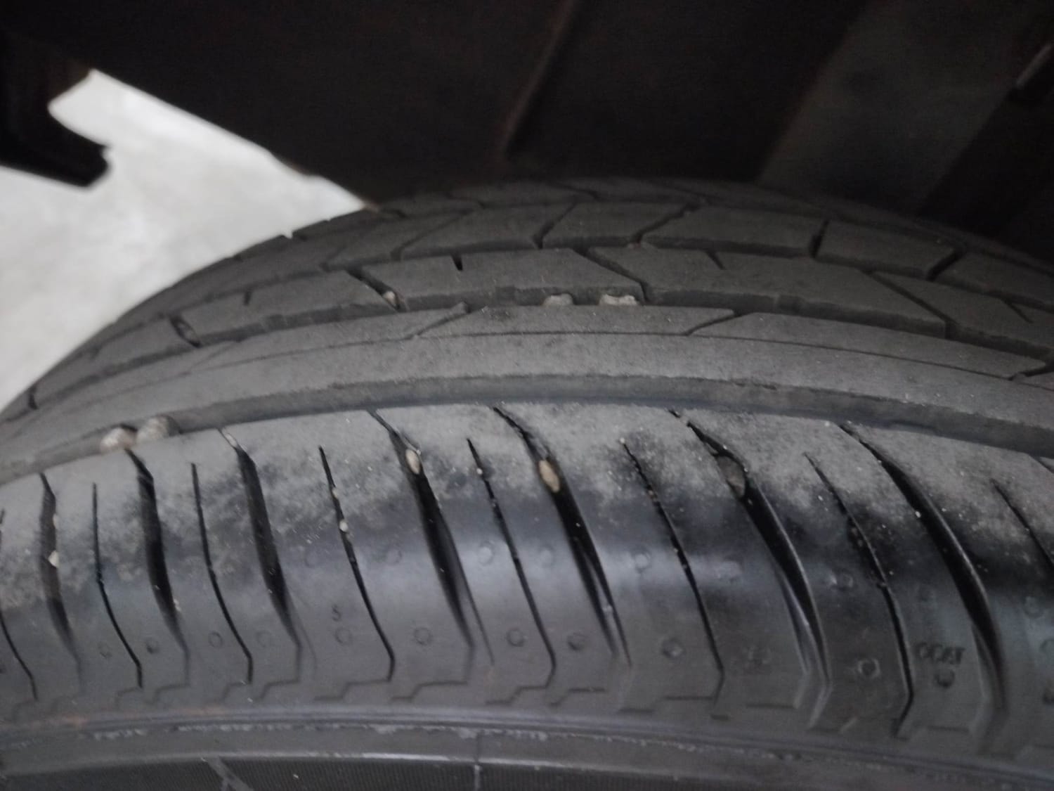 Kiger image 37 Kiger image 37