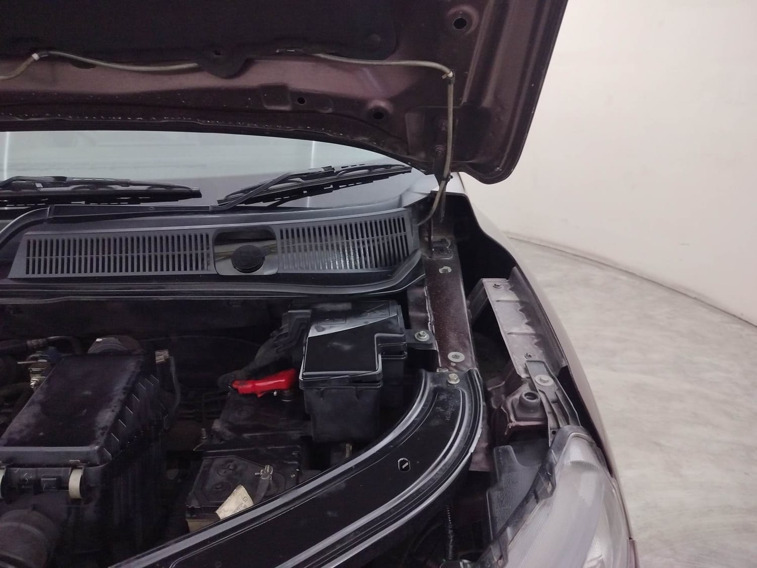 Kiger image 30 Kiger image 30