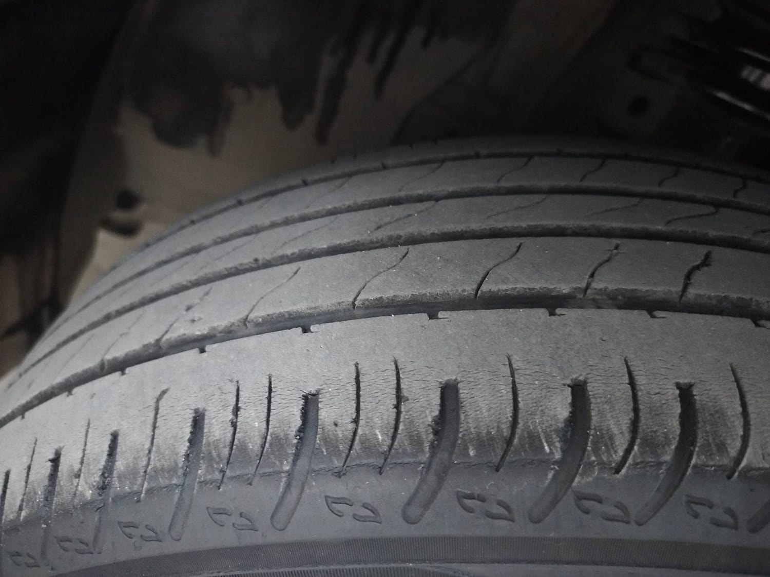 Kiger image 38 Kiger image 38