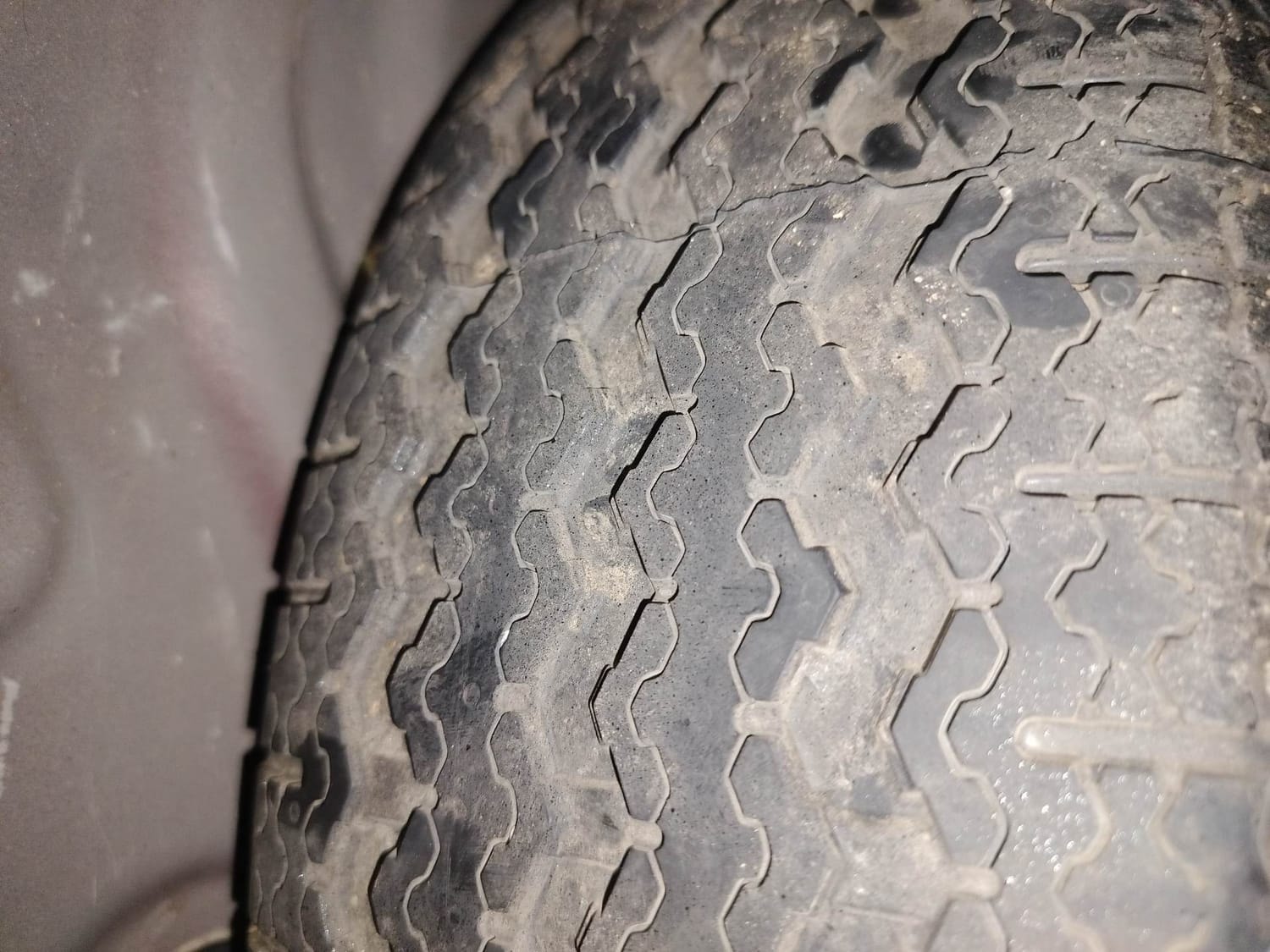 Kiger image 40 Kiger image 40