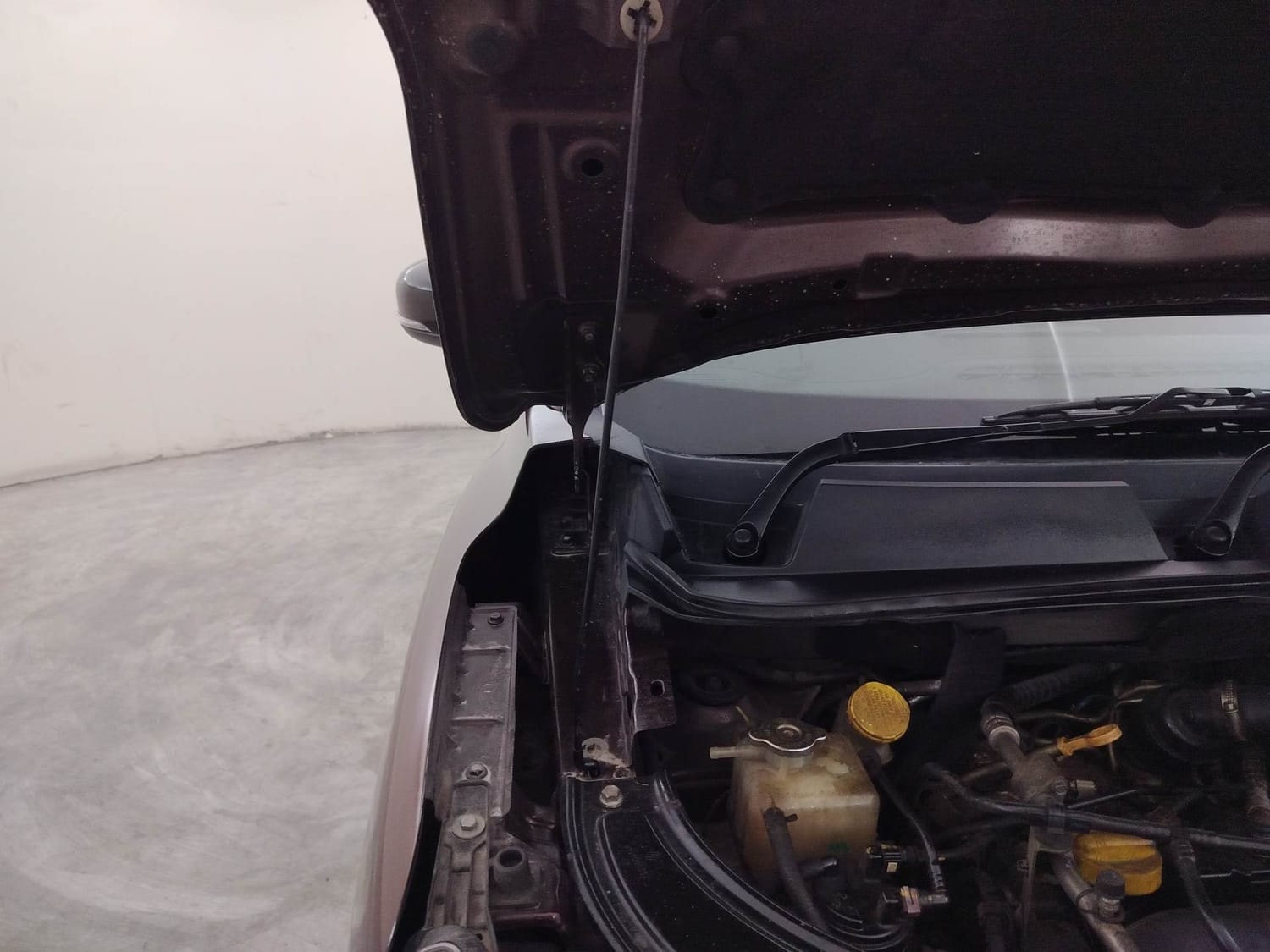 Kiger image 31 Kiger image 31