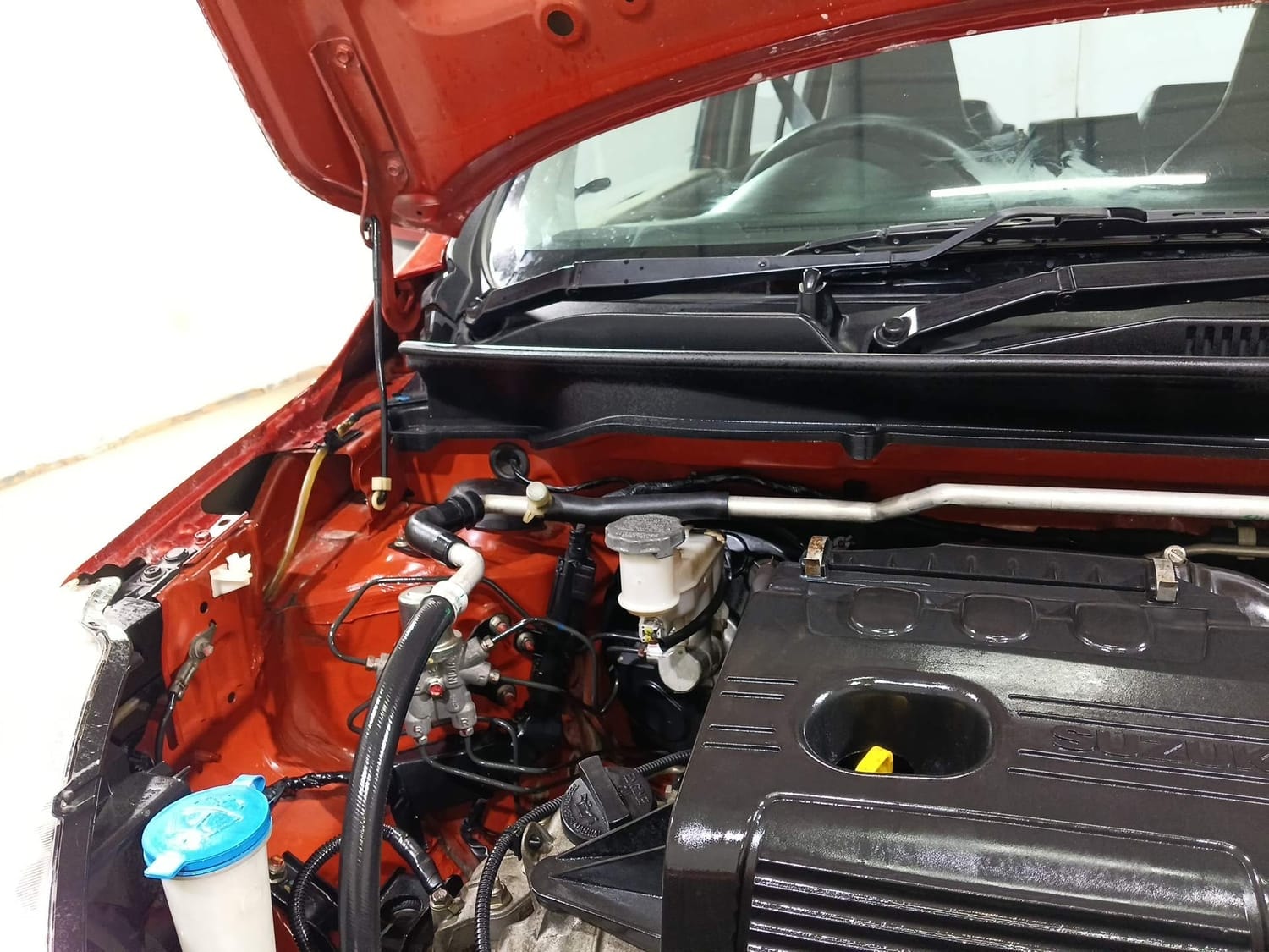 Celerio image 31 Celerio image 31