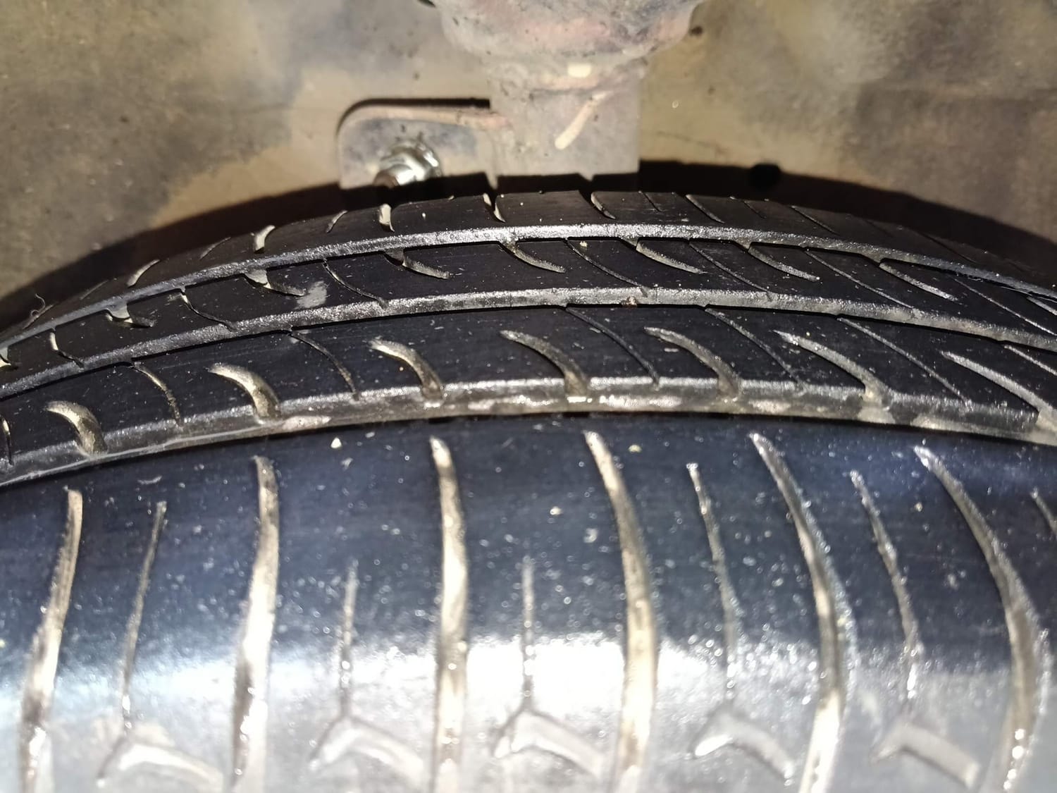 Celerio image 36 Celerio image 36