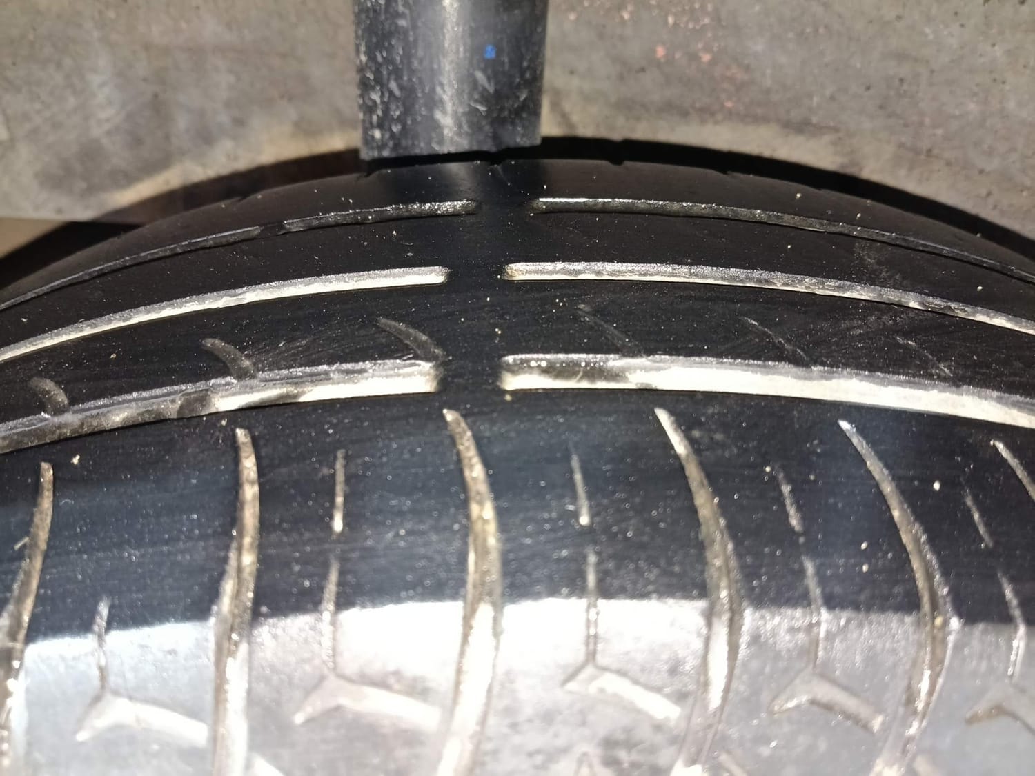 Celerio image 37 Celerio image 37