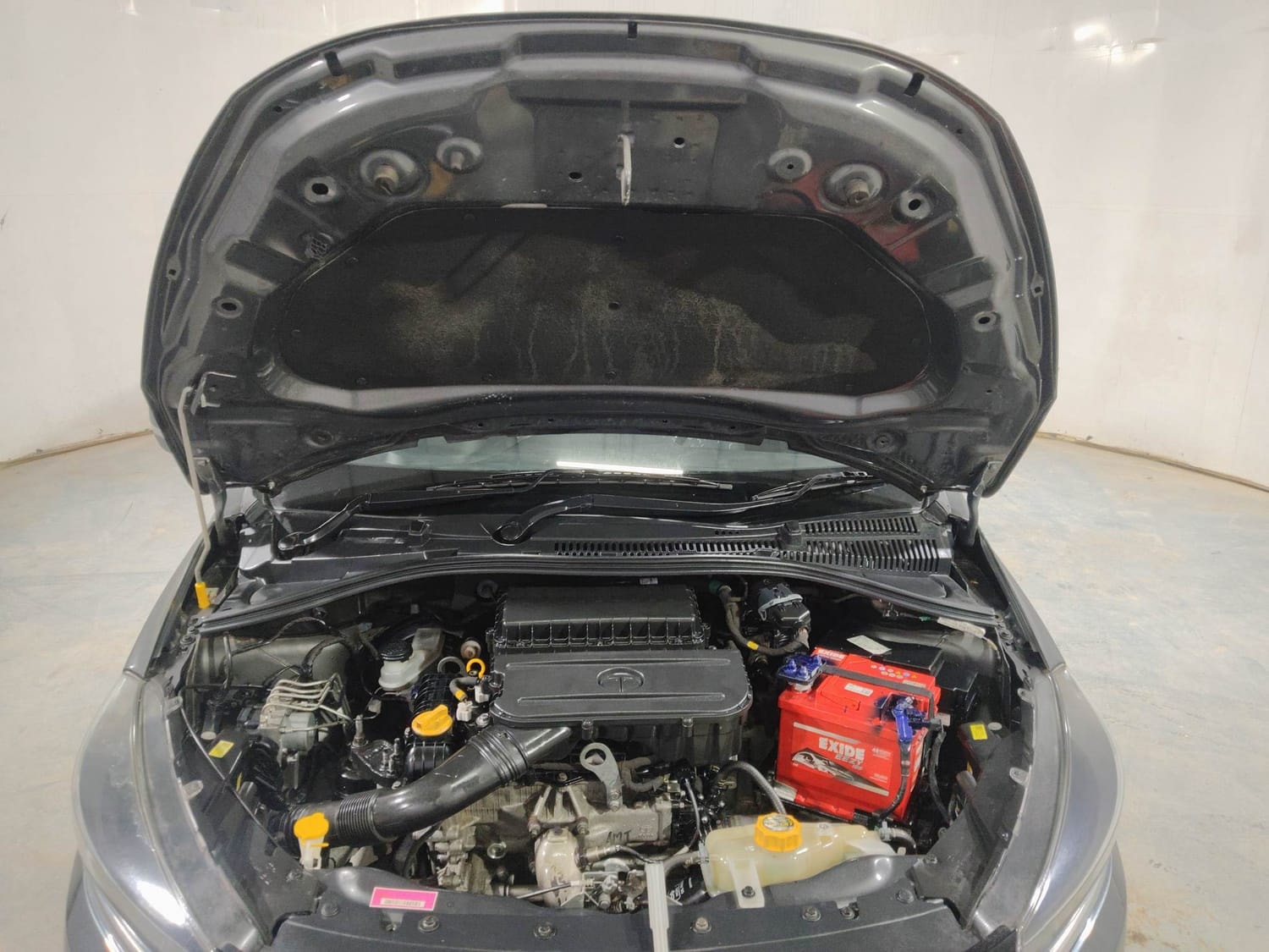 Tiago image 27 Tiago image 27