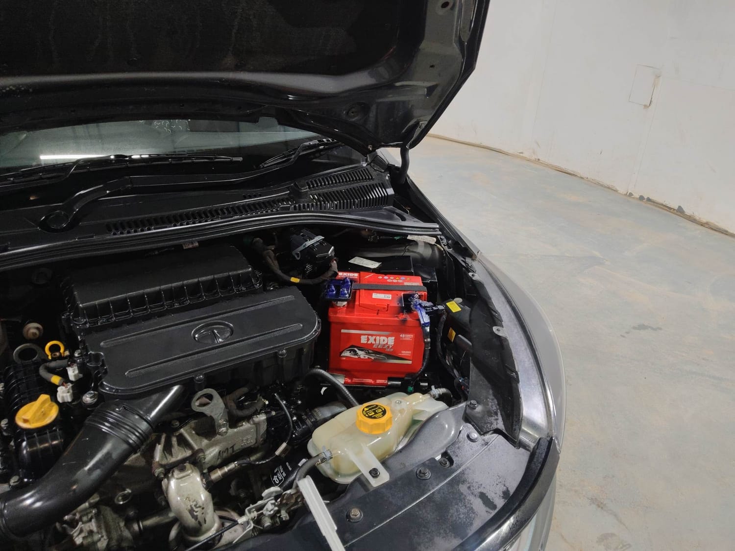 Tiago image 28 Tiago image 28