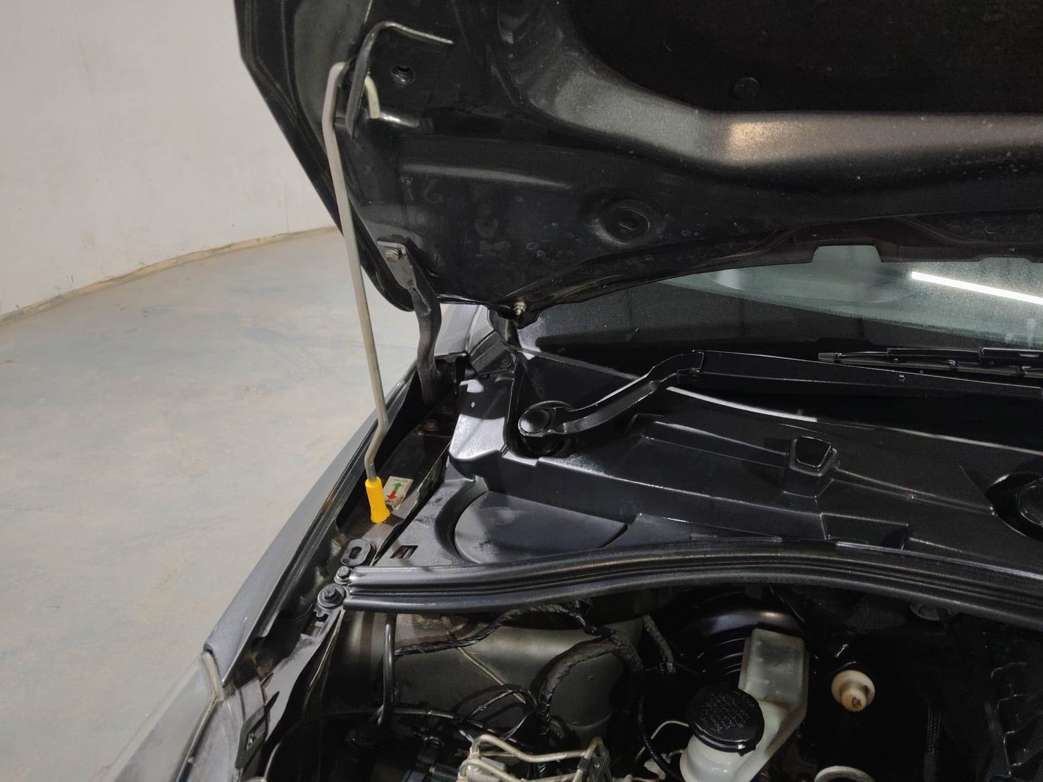 Tiago image 31 Tiago image 31