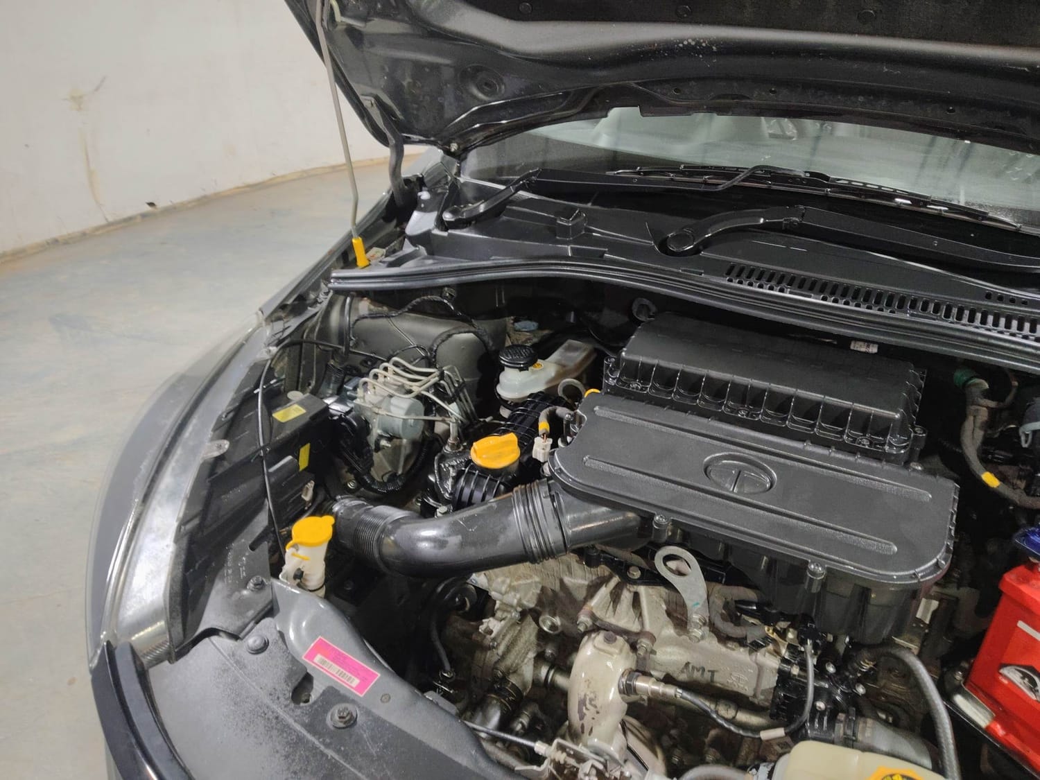 Tiago image 29 Tiago image 29